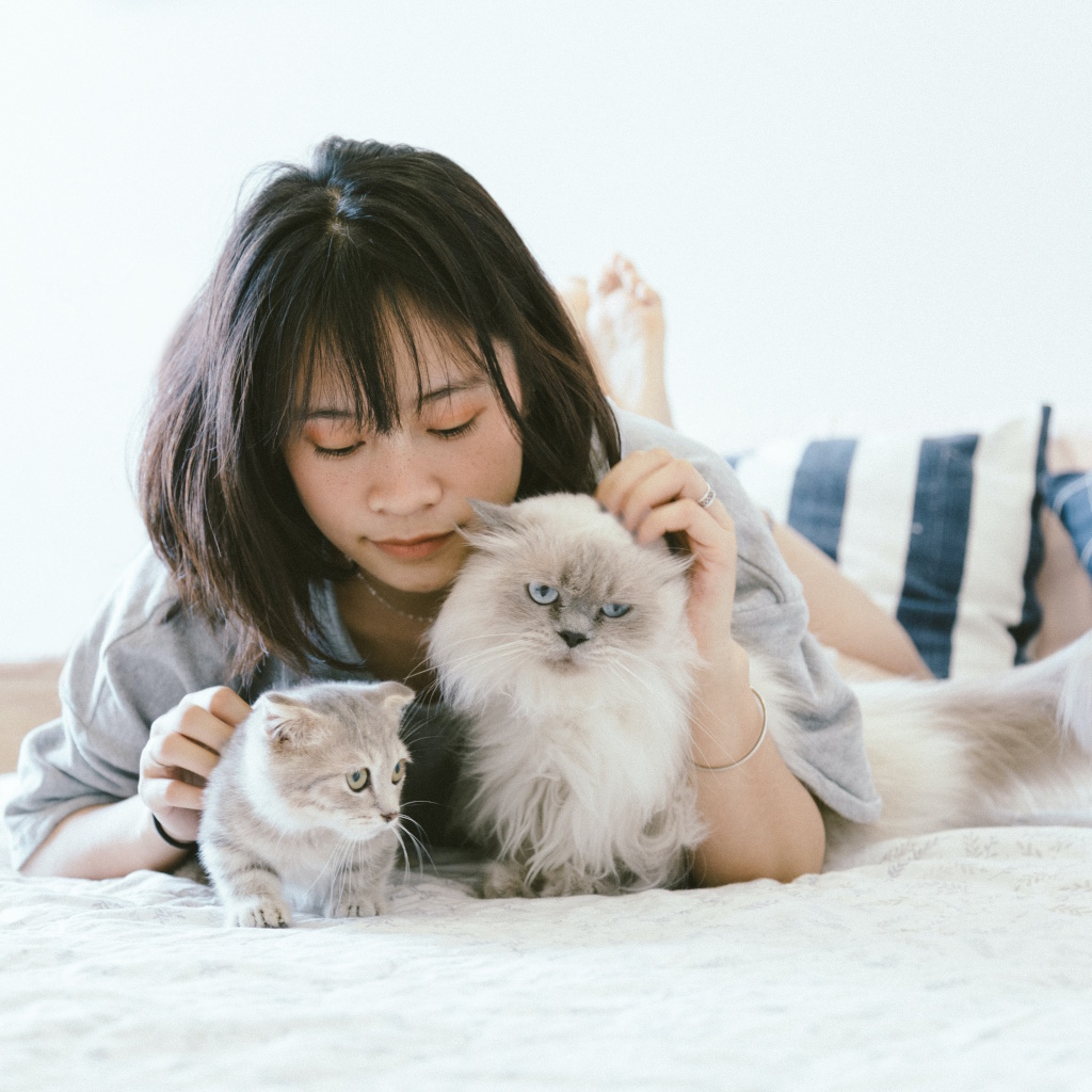 Best Pet Insurance: A Pet Lover's Journey to Finding Peace of Mind - Photo by Tran Mau Tri Tam ✪ on Unsplash