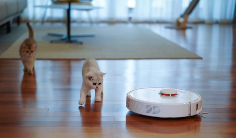 Best Robot Vacuum For Pet Hair | The List Of