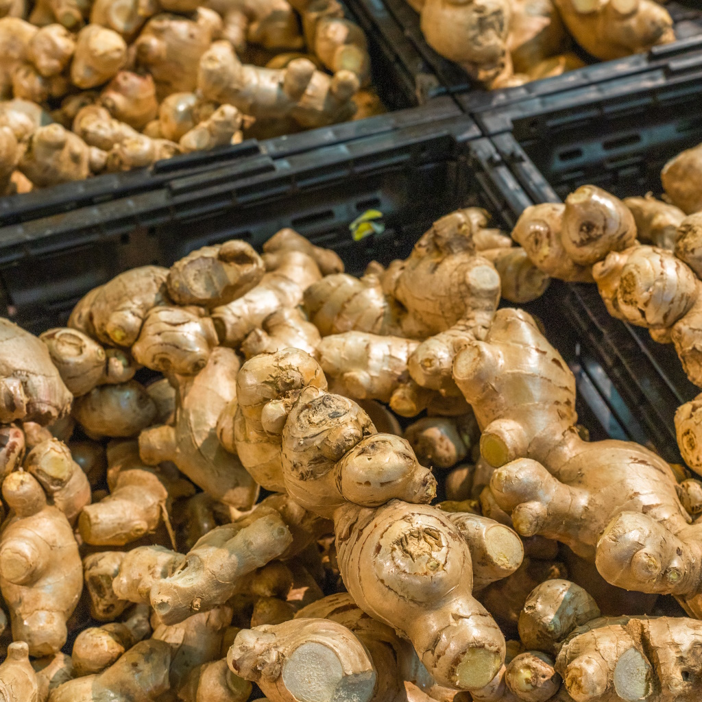 Benefits of Ginger - Photo by Mitchell Luo on Unsplash